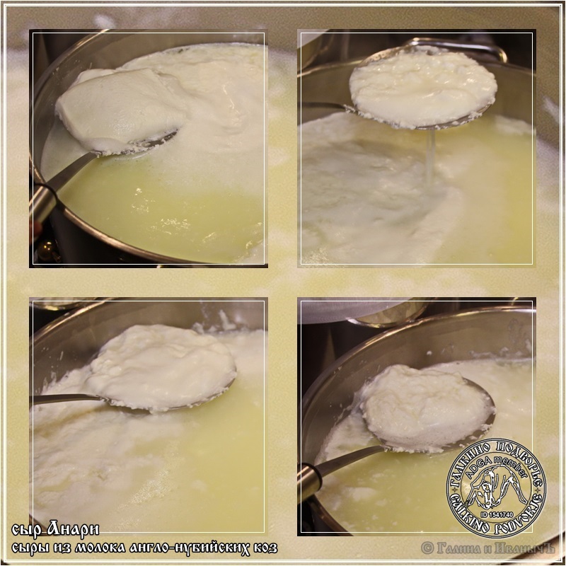 גבינת חלומי ואנרי מחלב עיזים אנגלו-נובי