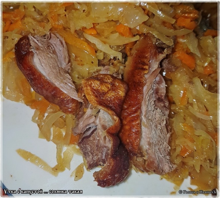 Duck solyanka with cabbage