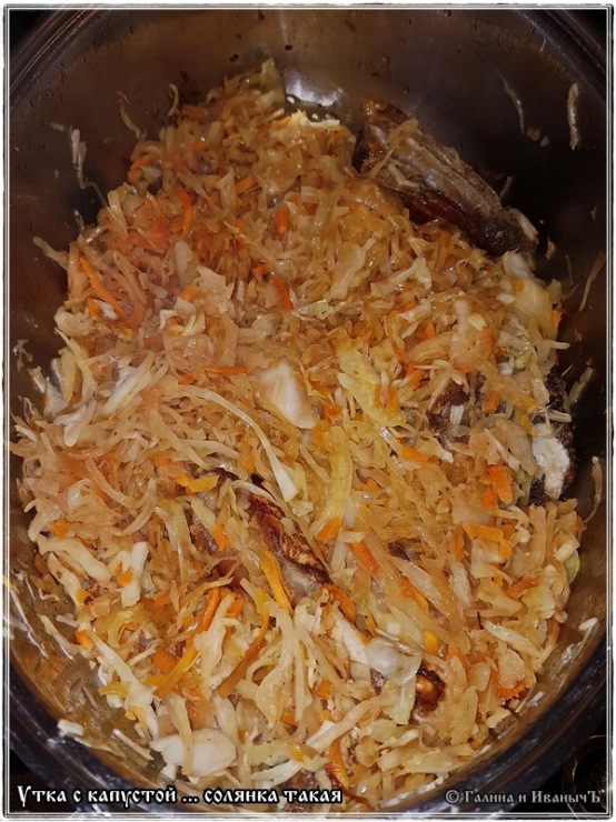 Duck solyanka with cabbage