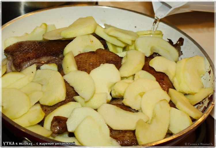 Stewed duck in apples with fried Antonovka