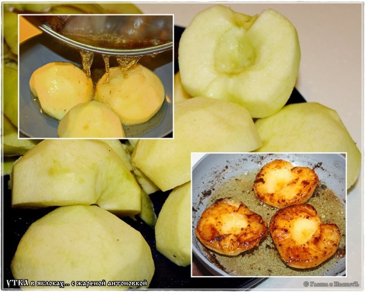 بط مطهي في التفاح مع انتونوفكا المقلية