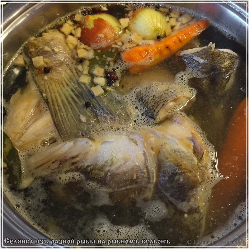 Selyanka de pescado en caldo de pescado