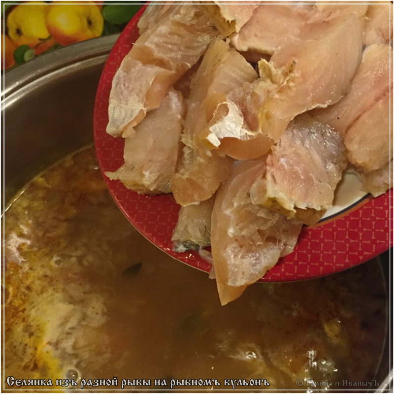 Selyanka de pescado en caldo de pescado
