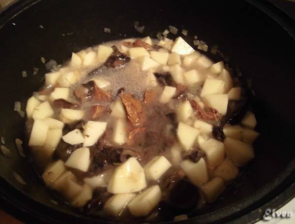 Mushroom stew