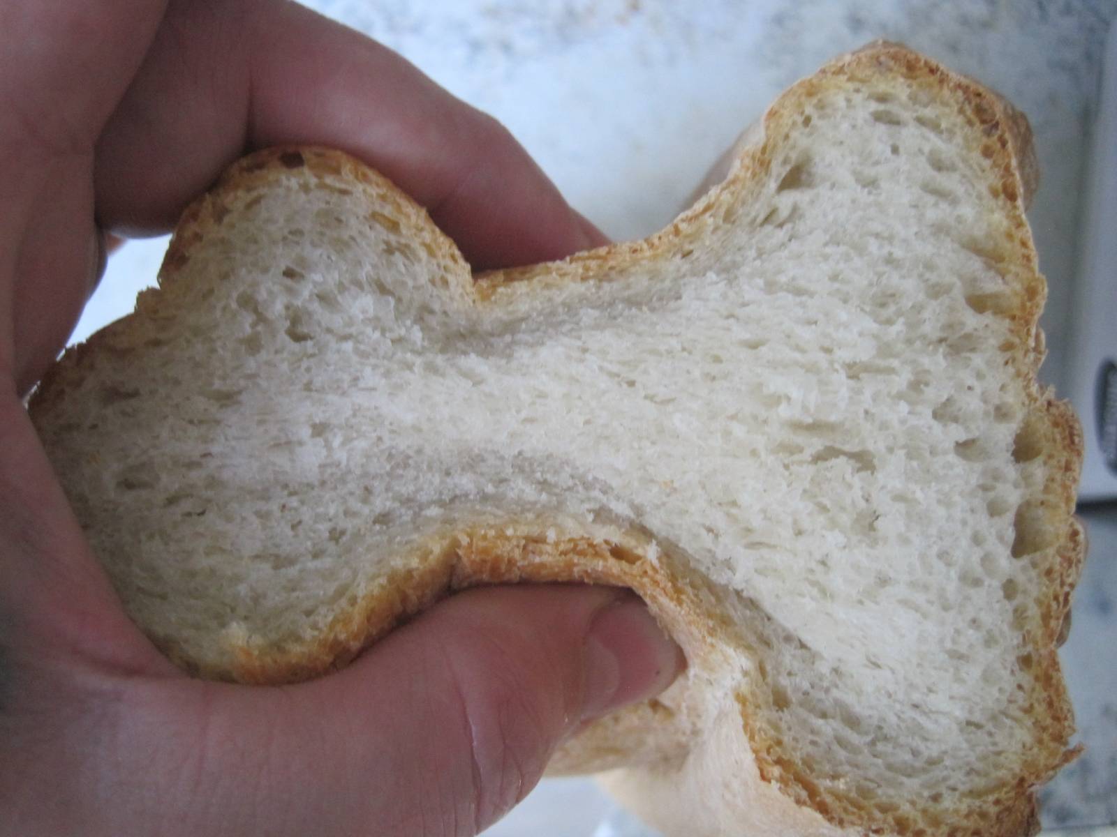 לחם לבן עם שיבולת שועל וגרעיני דלעת בתנור (תסיסה קרה)