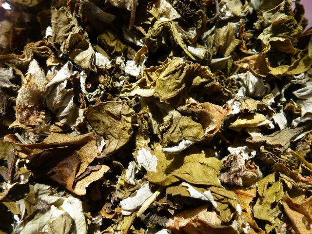 Green tea from the leaves of garden and wild plants, dried strawberry tails