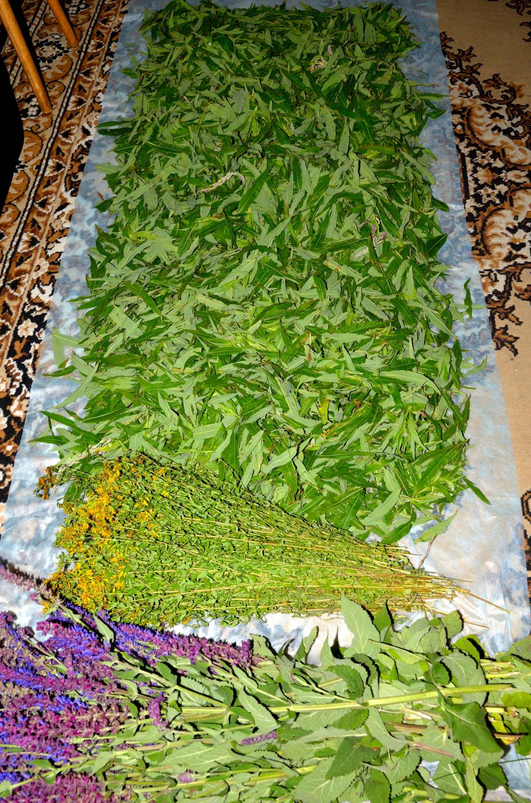Erjesztett tea kerti és vadon élő növények leveleiből (mesterkurzus)