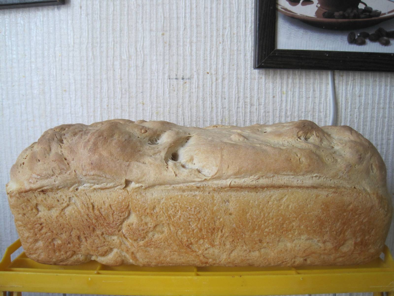 Pan de trigo fermentado en frío