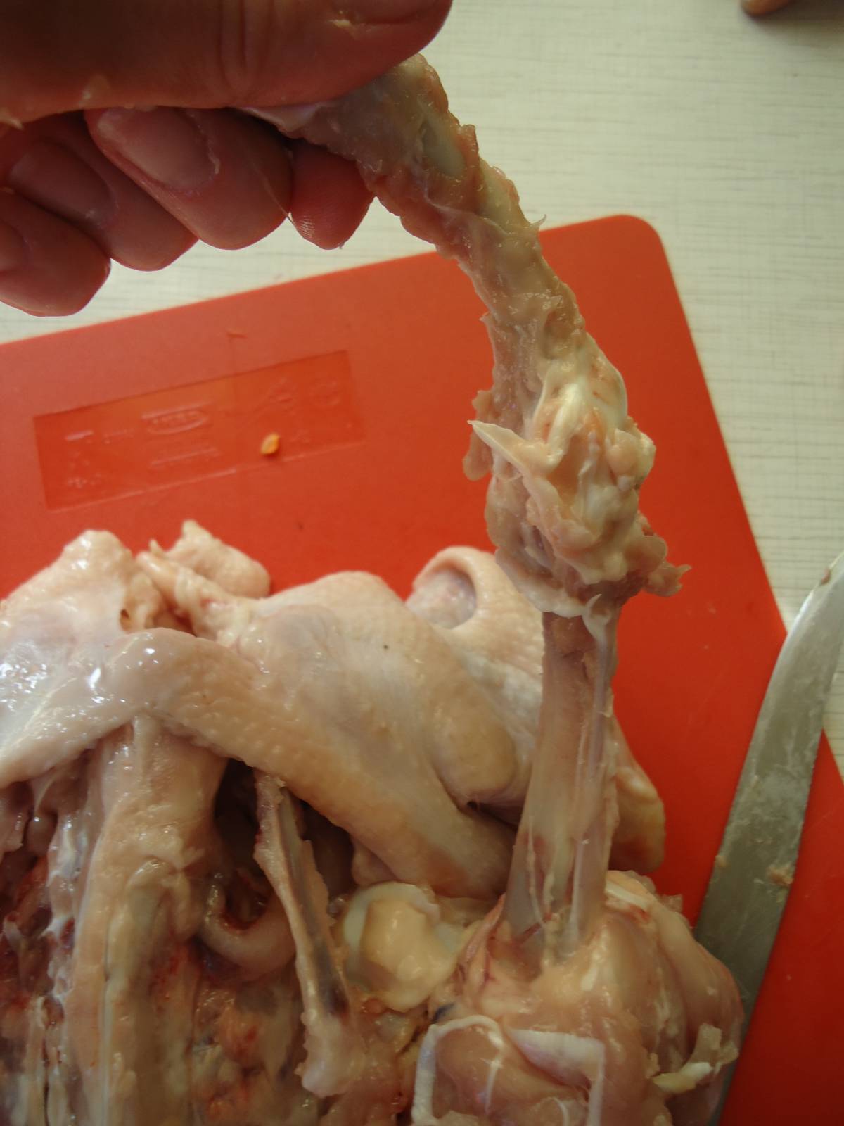 Sebészeti-nosztalgikus töltött csirke (mesterkurzus)