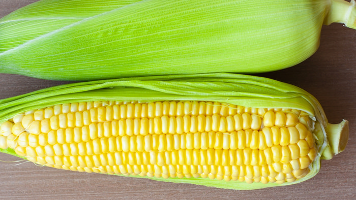 Podbijanie świata kukurydzą