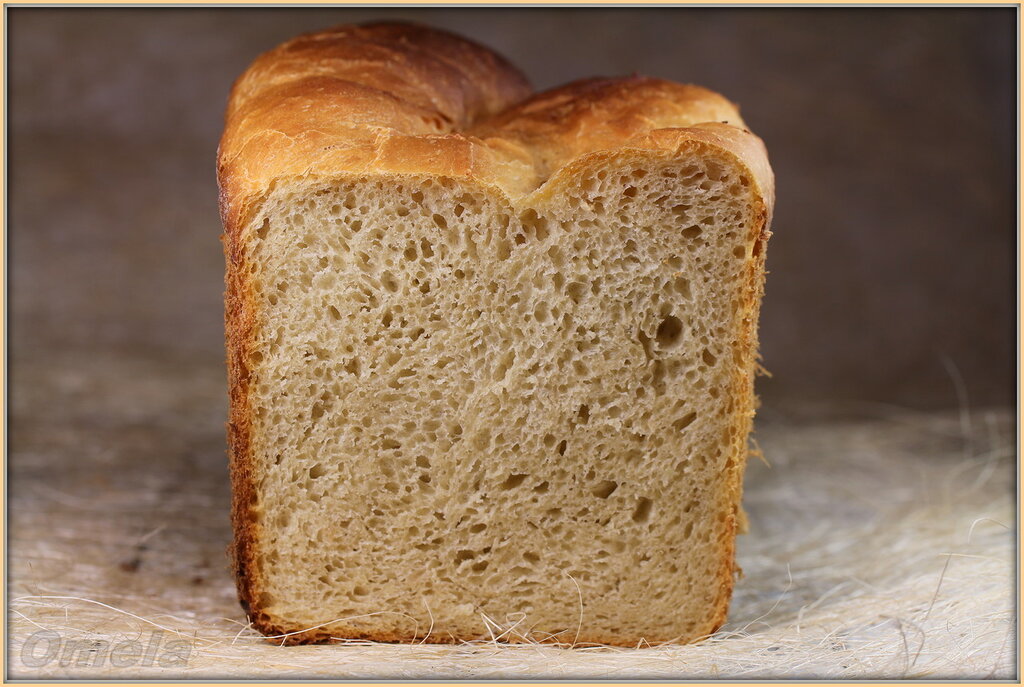 Programowalny inteligentny chleb Sana