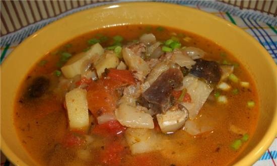 Sopa de col con col y pechuga de pato curada en seco (ganso)