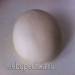 Massa per a boletes i boletes (fabricant de pa)