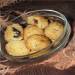 Galletas Bolitas de coco con pasas y ciruelas pasas