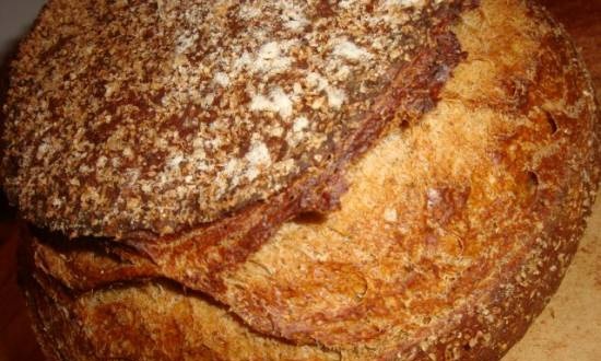 Pane di segale su kvas in una macchina per il pane