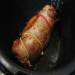 Turkey drumstick roll in a multicooker Cuckoo 1054