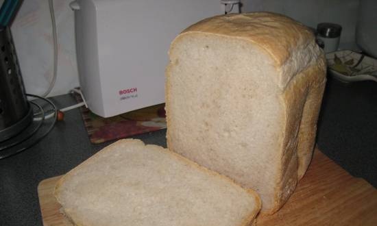 Pane integrale a lievitazione naturale (macchina per il pane)