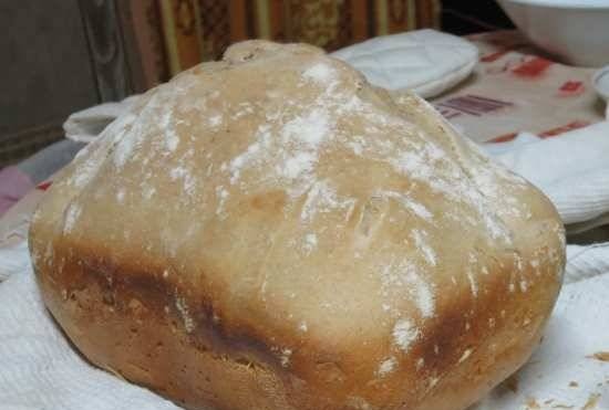 Simple sourdough light gray bread in Bork-X800 bread maker