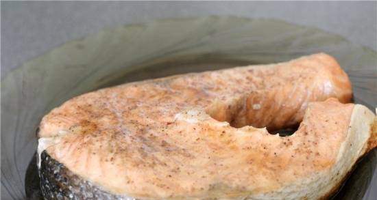 Salmone in una pentola a pressione Brand 6050