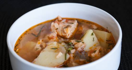 Sopa de salmón en olla a presión Marca 6051