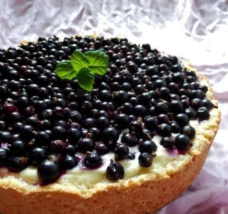 Curd cake with black currant