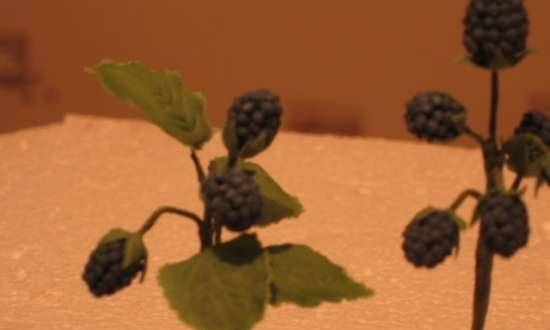 Moras y frambuesas de masilla y glaseado