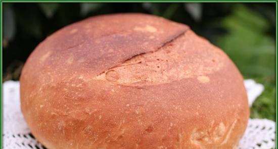 French bun made of premium flour (in the oven)