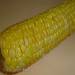 Boiled corn in a Brand 6050 pressure cooker