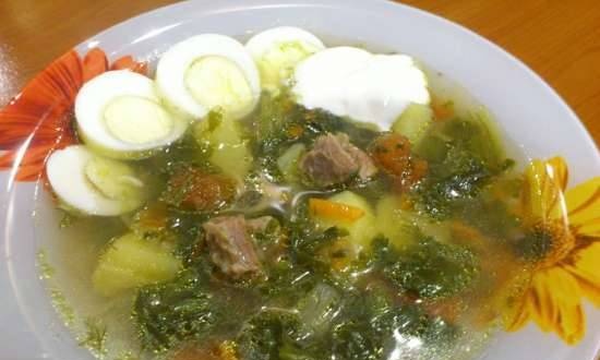 Green sopas na repolyo na may spinach sa isang multicooker Bork U700