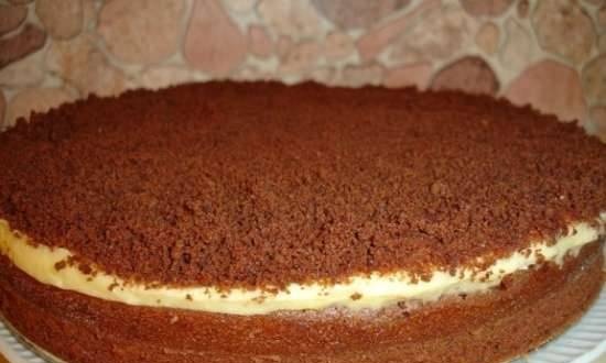 Torta al cioccolato a basso contenuto di grassi - Sjokopulver Kake (Lite Fett)