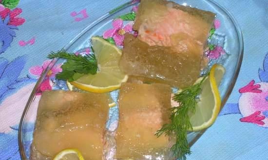 Gelei zalm of vis aspic (Steba DD1 ECO)