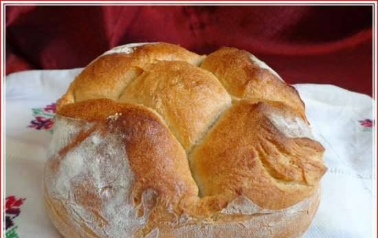 Pane rustico francese Pain de Campagne