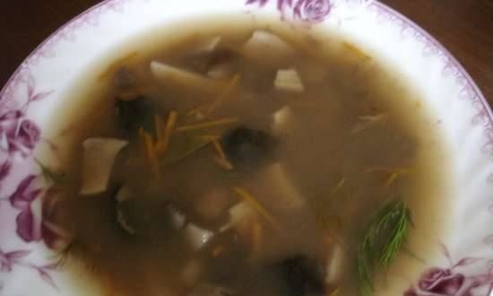 Soup with wild mushrooms and champignons in a pressure cooker Polaris 0305