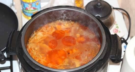 Borscht with chicken broth in a multicooker Saturn (Saturn ST-MC9184)