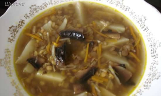 Sopa de llenties vegetariana amb patates, bolets, api i pastanagues (Polaris 0305)