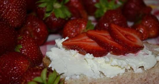 Pane per colazione a lievitazione naturale (Steba DD1)