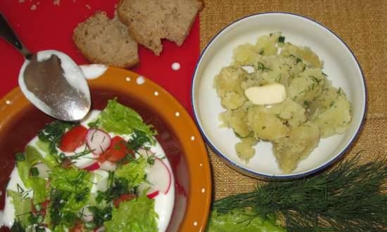 Rustieke koude zomersoep met yoghurt (gestremde melk)