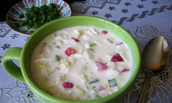 Okroshka con queso Adyghe en ryazhenka