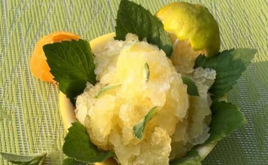 Citrusový sorbet (žádná alternativa)