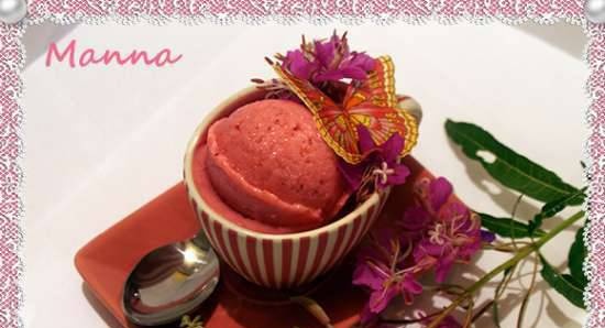 Strawberry Bean Oat Ice Cream (Nemox Talent Gelato & Sorbet Compressor Ice Cream)