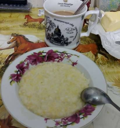 Gachas de avena de la amistad en una olla a presión-ahumadero Unidad 1210s