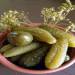 Pickled cucumbers for the winter