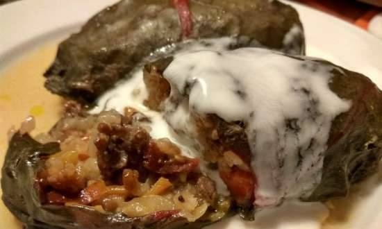 Diet Swiss chard cabbage roll (resipe para sa Steba DD1)