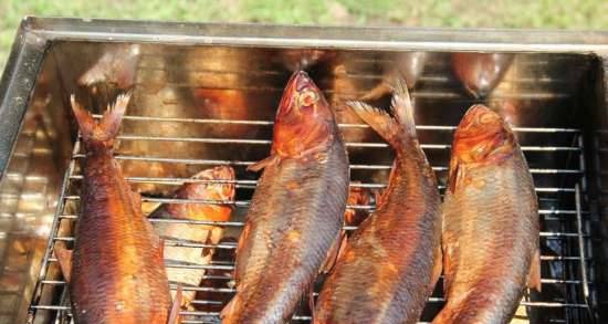 Aringa affumicata in un affumicatoio con un sigillo d'acqua