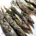 Capelin al limone e dragoncello