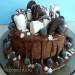 Chocoladetaart met marshmallows