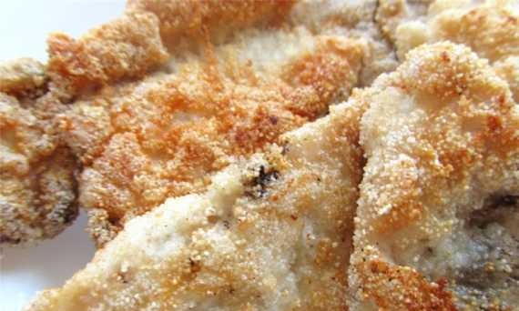 Chicken chops in semolina