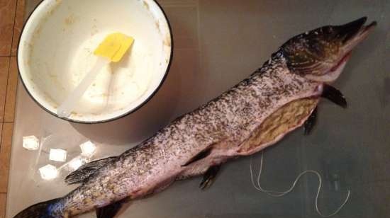 Stuffed pike / Brochet farci