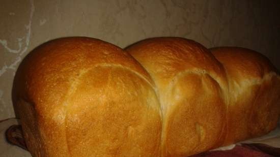 Grissia Piedmont bread