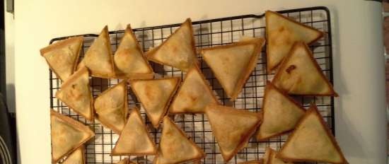 Mini ekspres samsa od Princess Samboussa maker